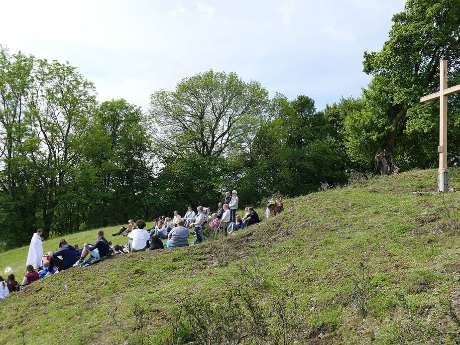 72 Stunden Aktion – auf dem Hasunger Berg (Foto: Karl-Franz Thiede)